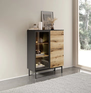 Niska witryna do salonu Lark z oświetleniem LED na tle modnej ściany