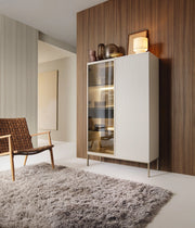 Kaszmirowa witryna z oświetleniem w modnym salonie