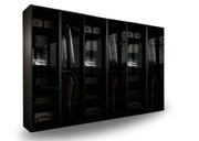 Szafy modułowe ze szklanym frontem 